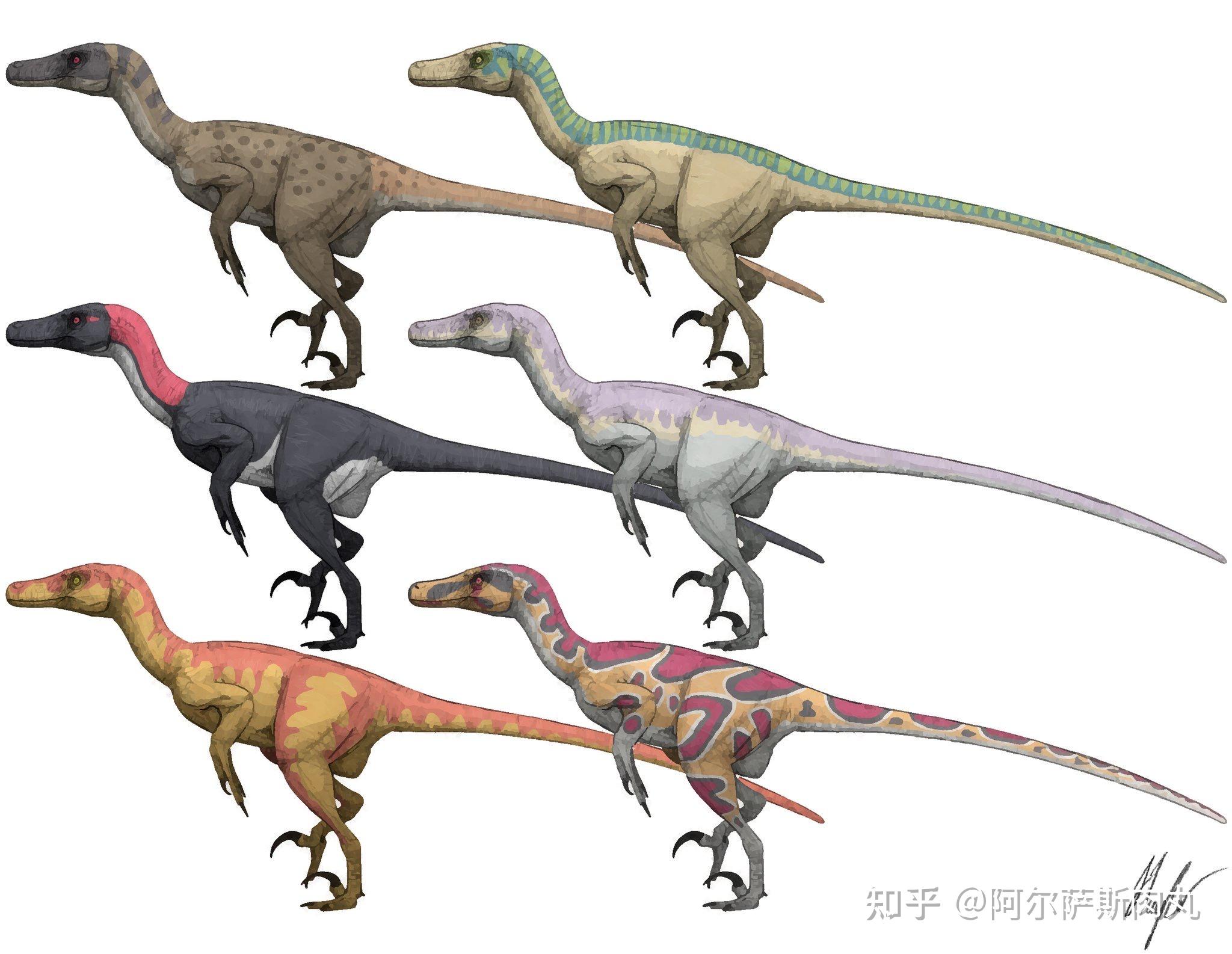 legendofcretaceous丨白垩传8龙驰天下下