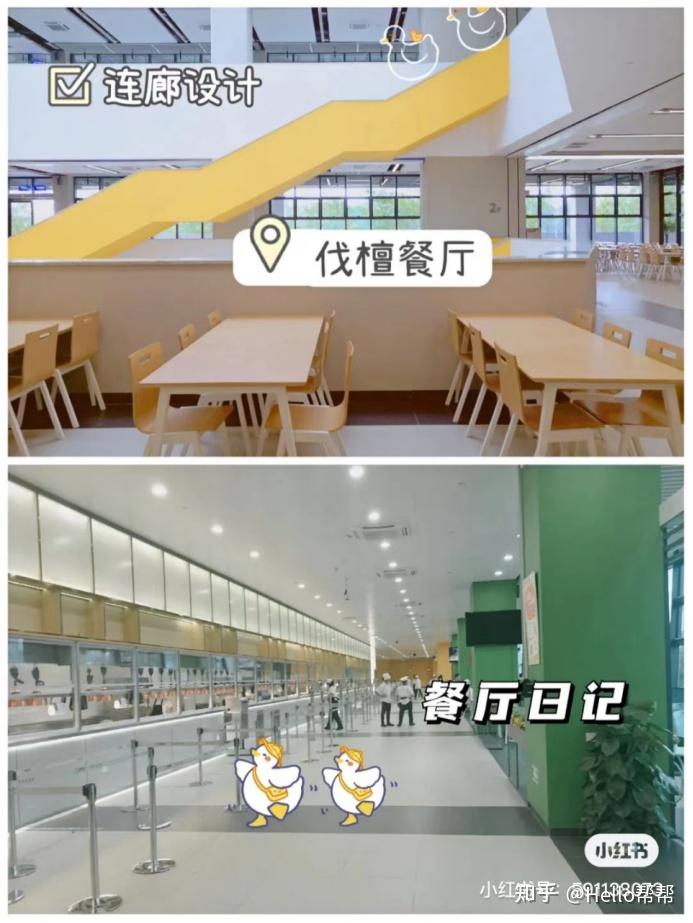 深圳大学食堂图片