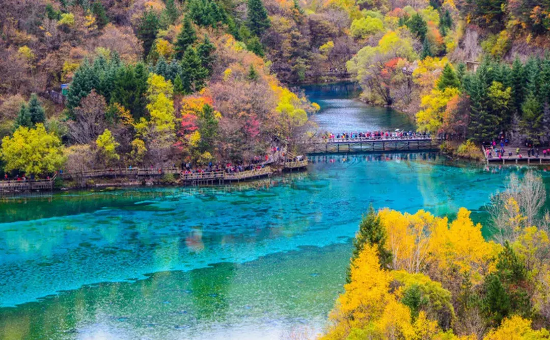 枫叶租车私人订制自驾自由行来啦一起打卡11月最美自驾旅行地