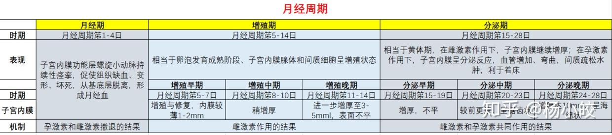 月经周期看不看得懂就随缘了,哈哈哈哈六,月经周期的调节下丘脑-垂体