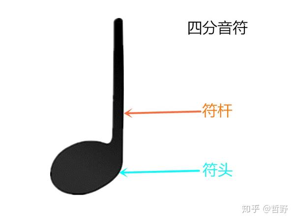 五 记谱法 音符 单纯音符与附点音符 知乎