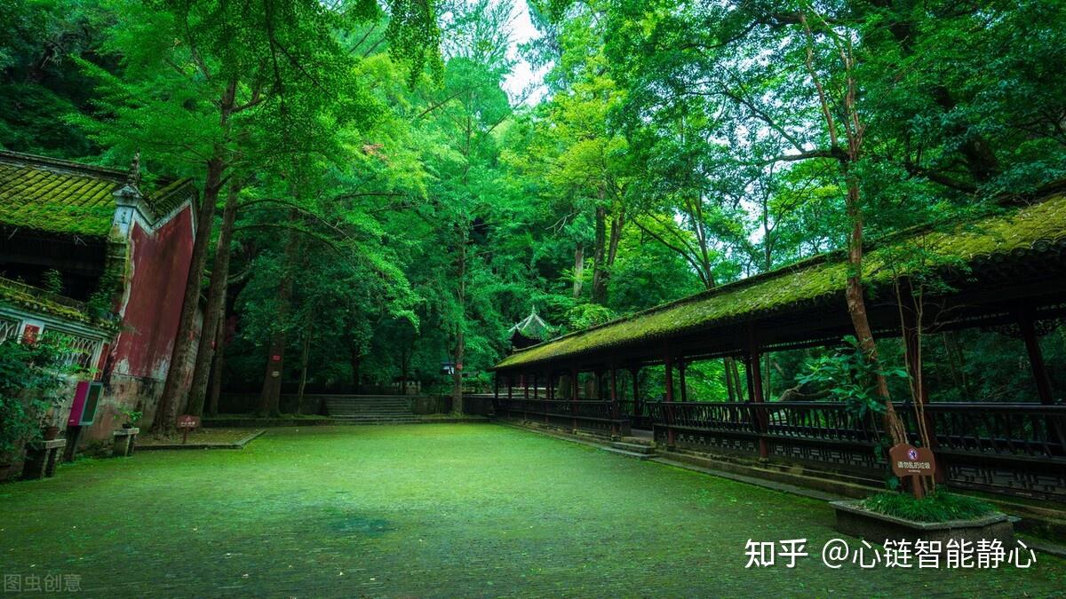 “静则神藏，躁则消亡”，静下心来，收获人生幸福 知乎 