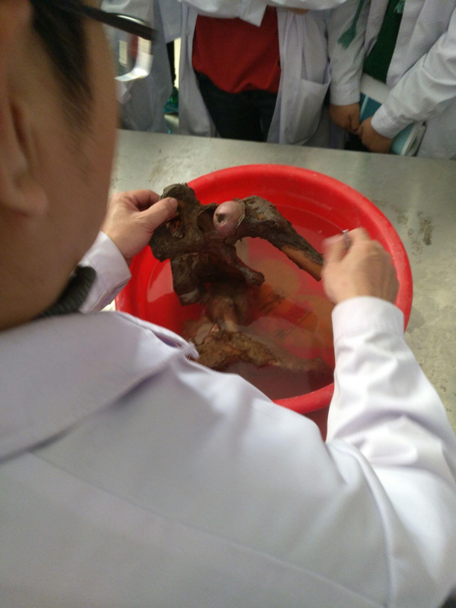 我是一名北京高二的学生将来想学医还想再学个