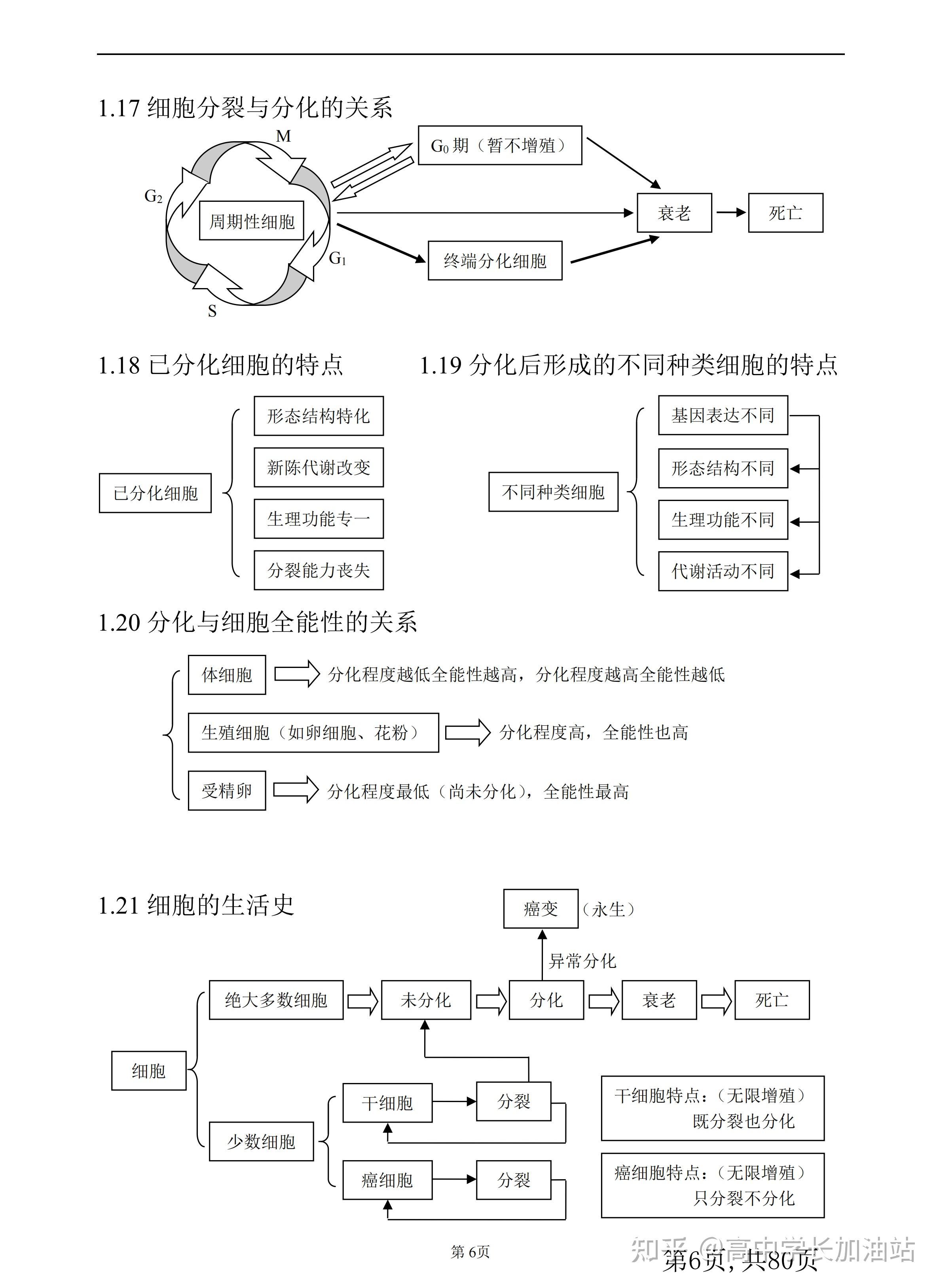 高中生物知识框图图片