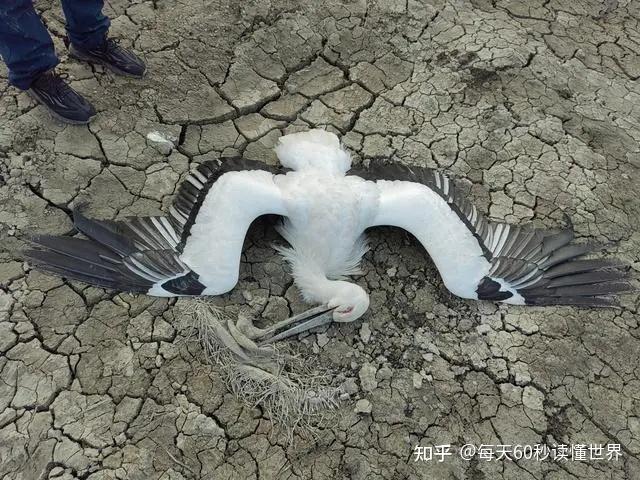 12月7日,星期三,在这里每天60秒读懂世界! 12月7日,星期三,在这里每天60秒读懂世界!