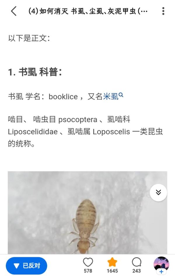 呼吁大家多传播正确的书虱科普视频 - 知乎