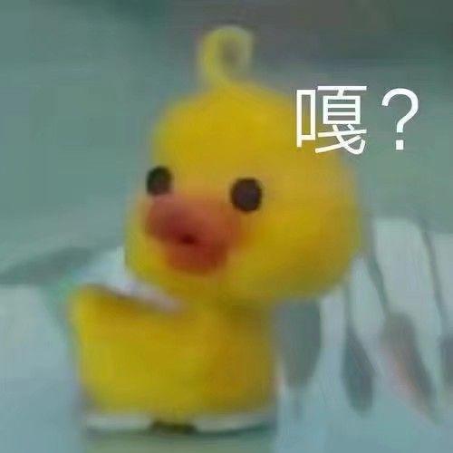 v2-3125d6adfbfb33124063d23076e015e6_r.jpg