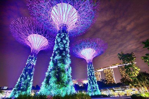 如何申请新加坡永居?这6个条件需要了解!