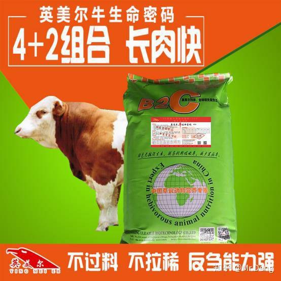 牛吃什么好？牛吃什么长肉快 知乎