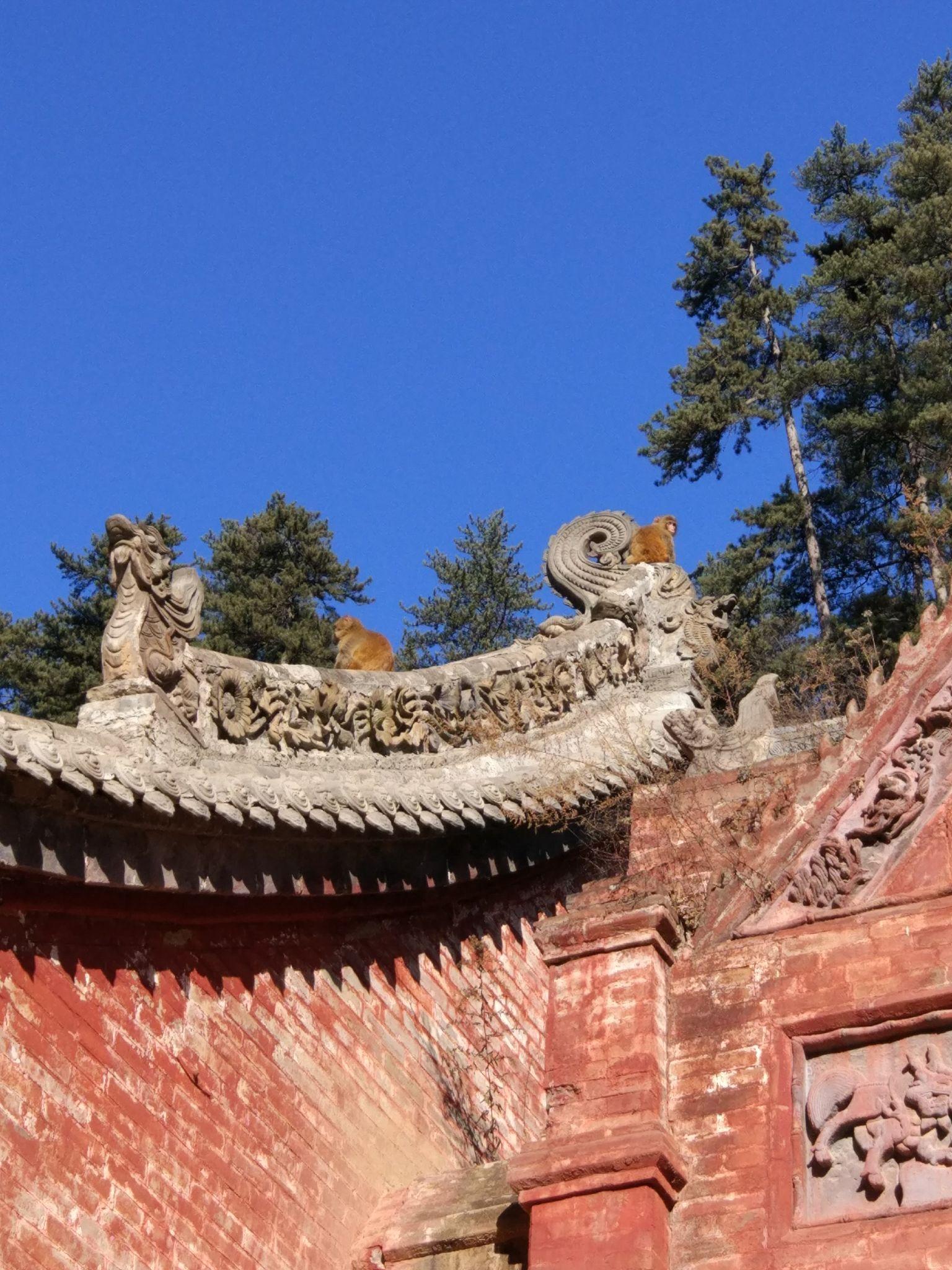 山西沁源灵空山