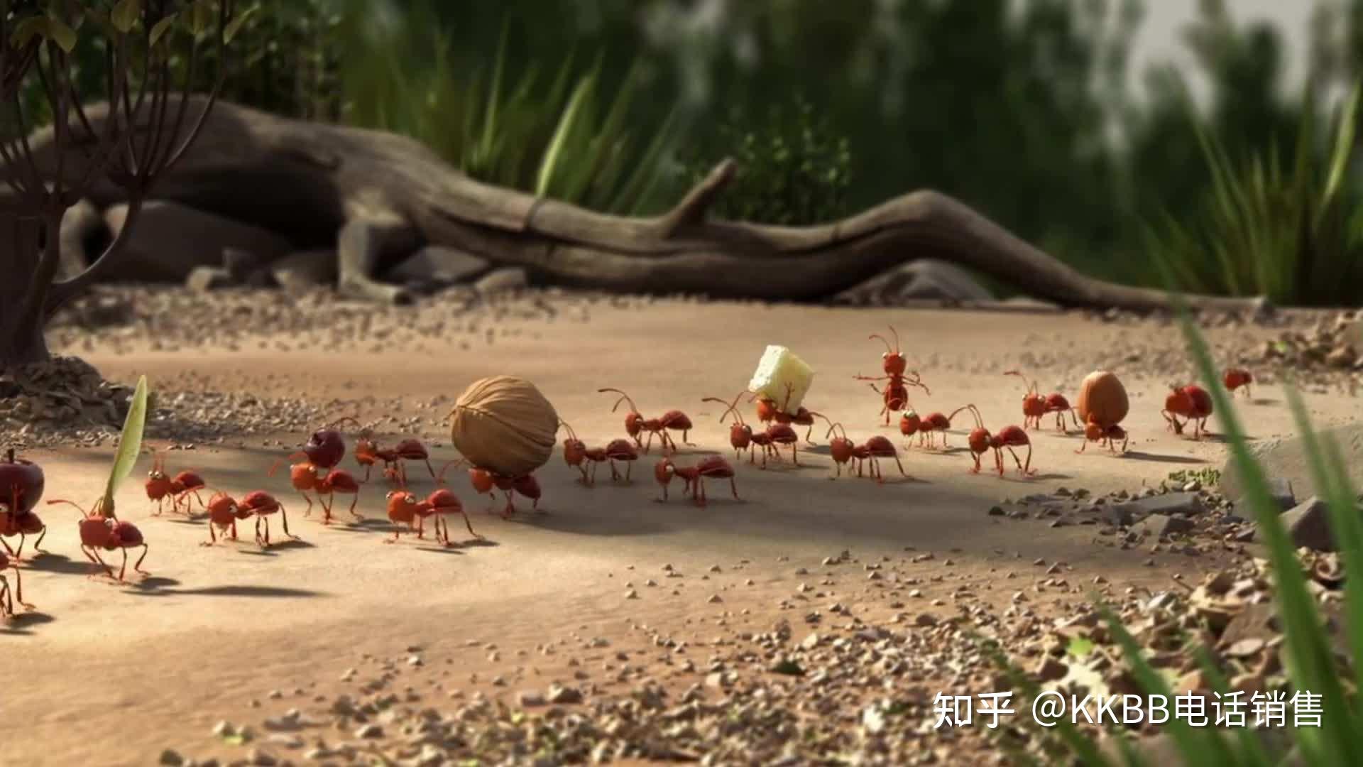 是蚂蚁军团来了!