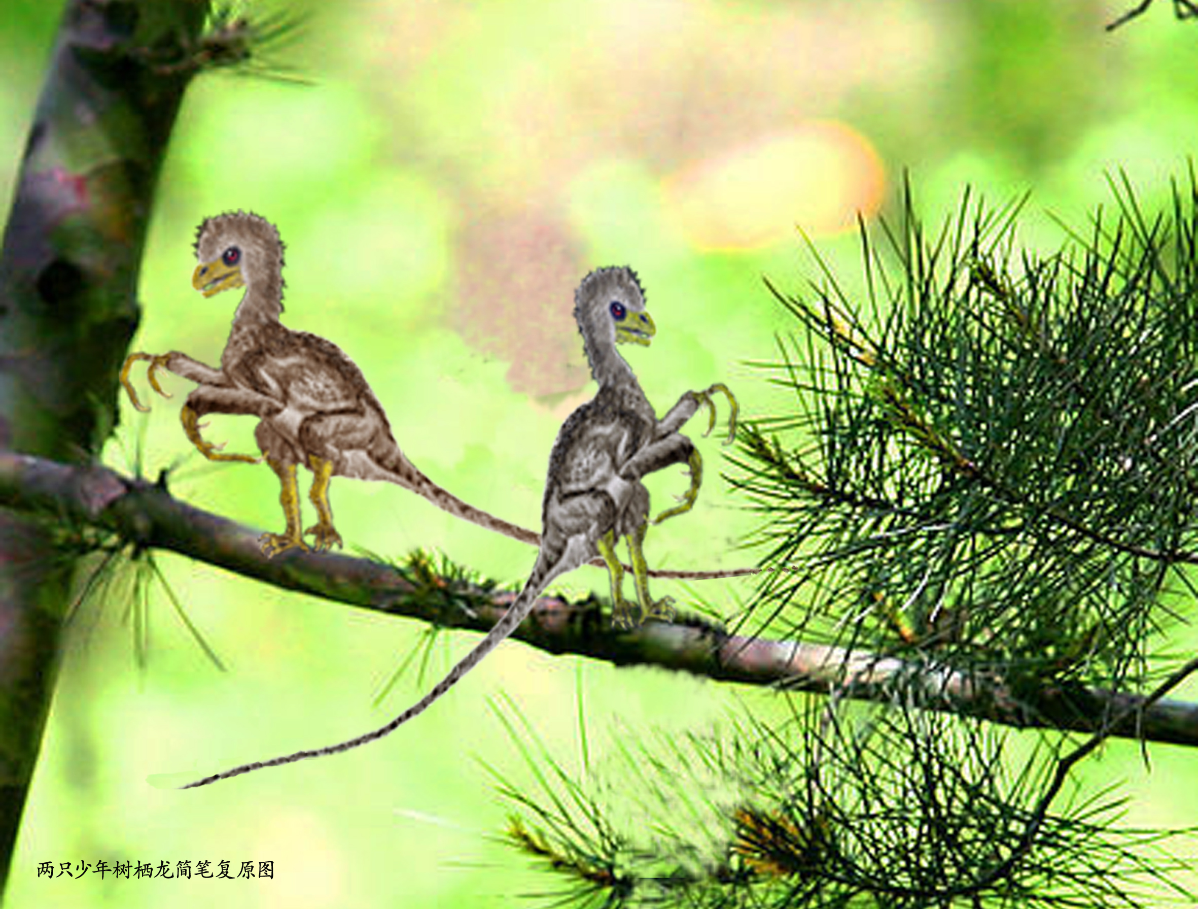 树栖的恐龙图片