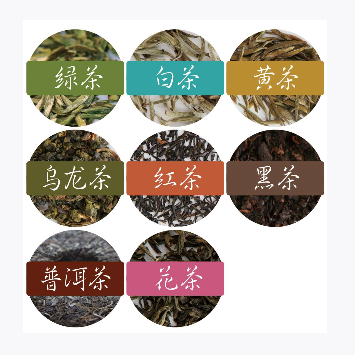 茶的分类 - 知乎