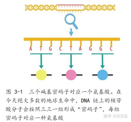 知乎专栏