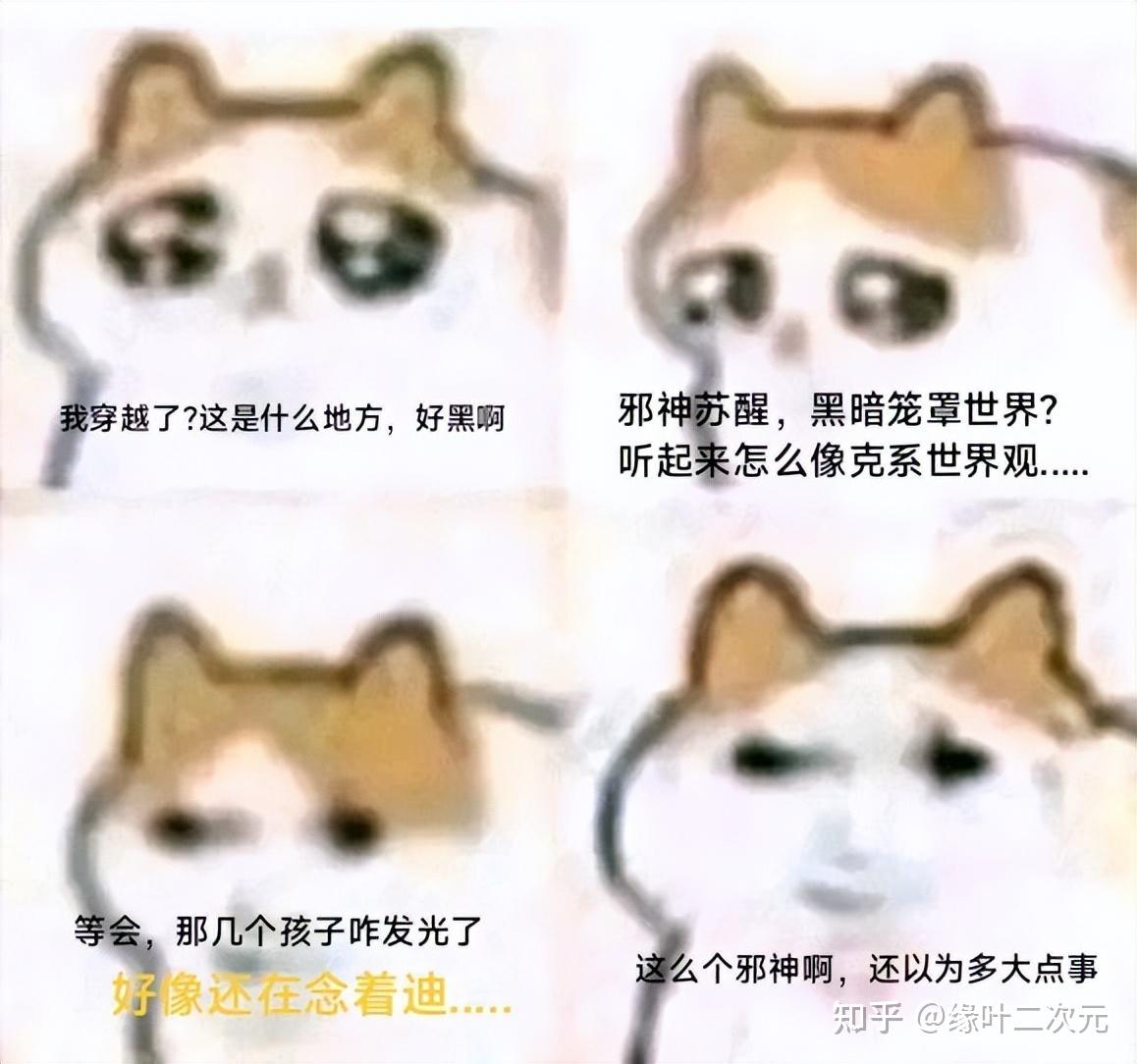 啊，不行了，这猫猫meme图太可爱了 - 知乎