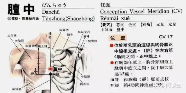 膻中穴因为是宗气之海,所以它能调节人体全身的气机,而这个气又是