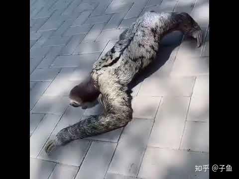 "恐怖谷理论"也会发生在声音上吗?