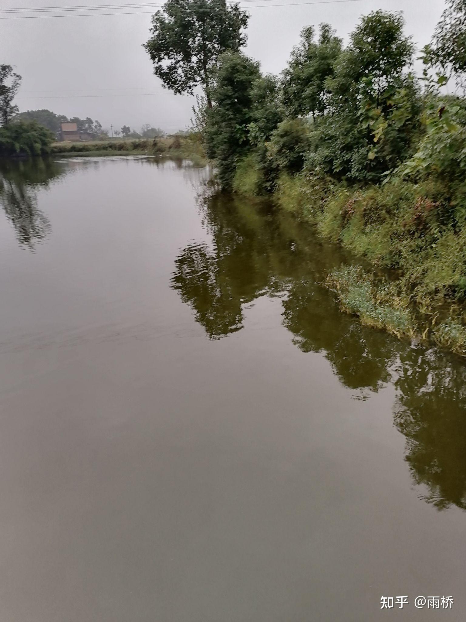如梦如幻的乡村池塘