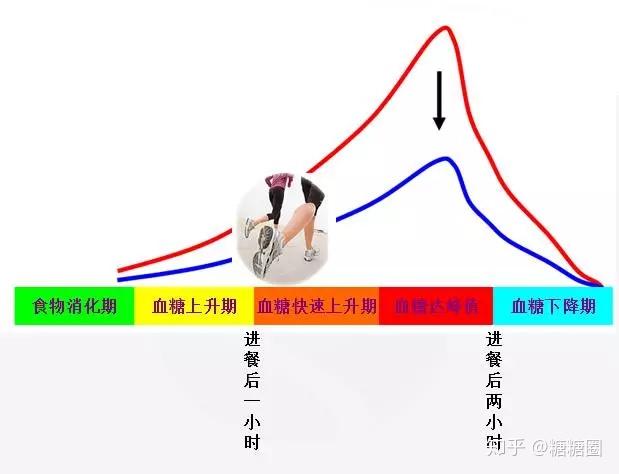 同时,体内胰岛素水平在注射后
