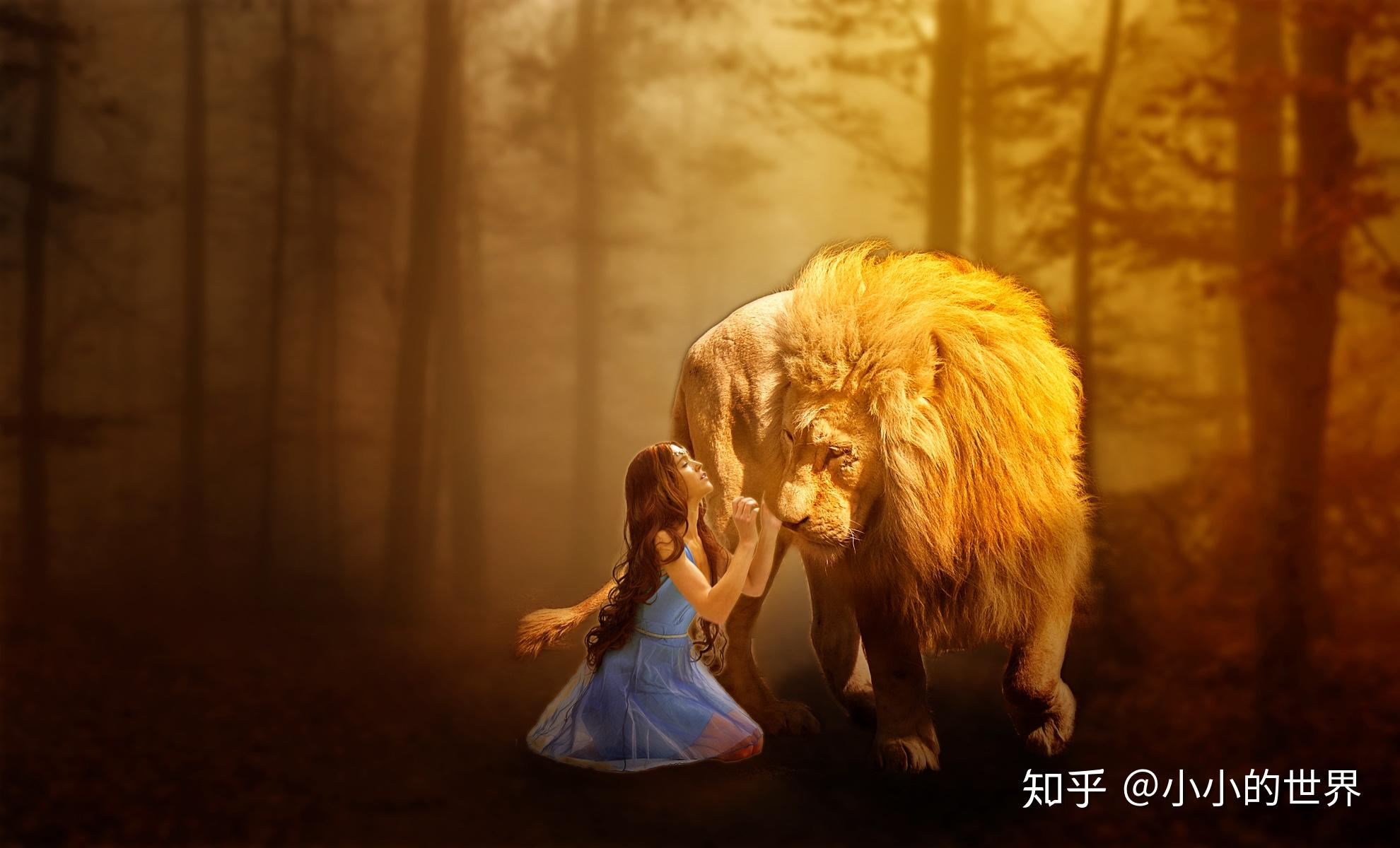 教大家制作美女与狮子美丽梦幻图片 知乎
