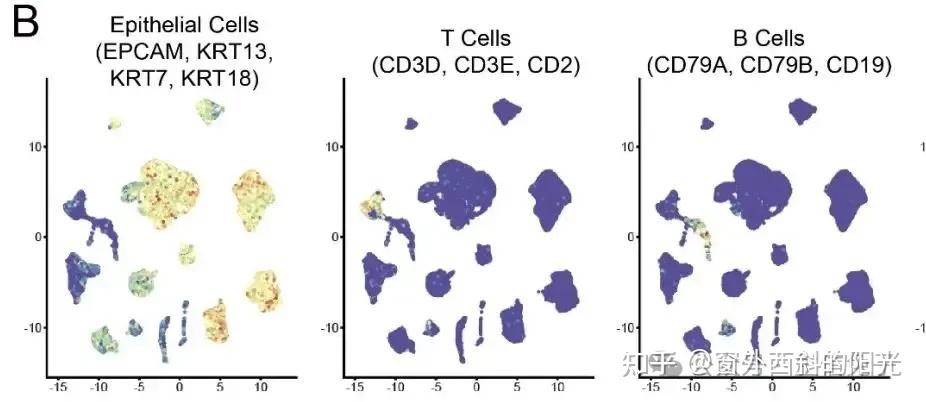 单细胞UMAP图上多个marker基因共表达分析 - 知乎