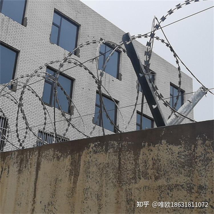 围墙倒刺 蛇腹型刀刺网 - 知乎