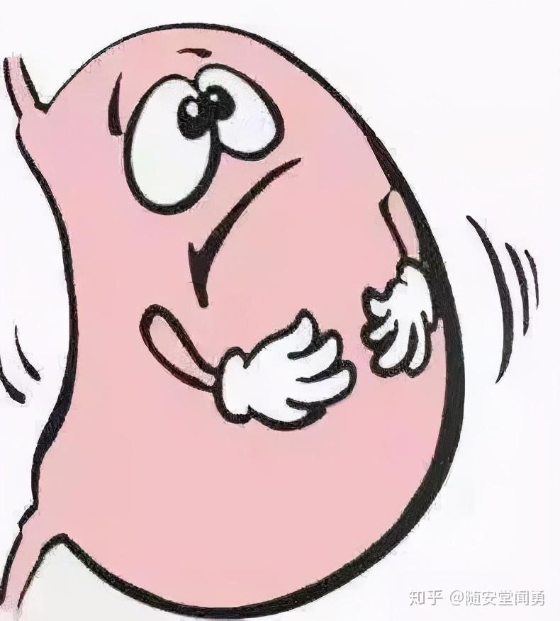 饭后胃堵得慌是怎么回事