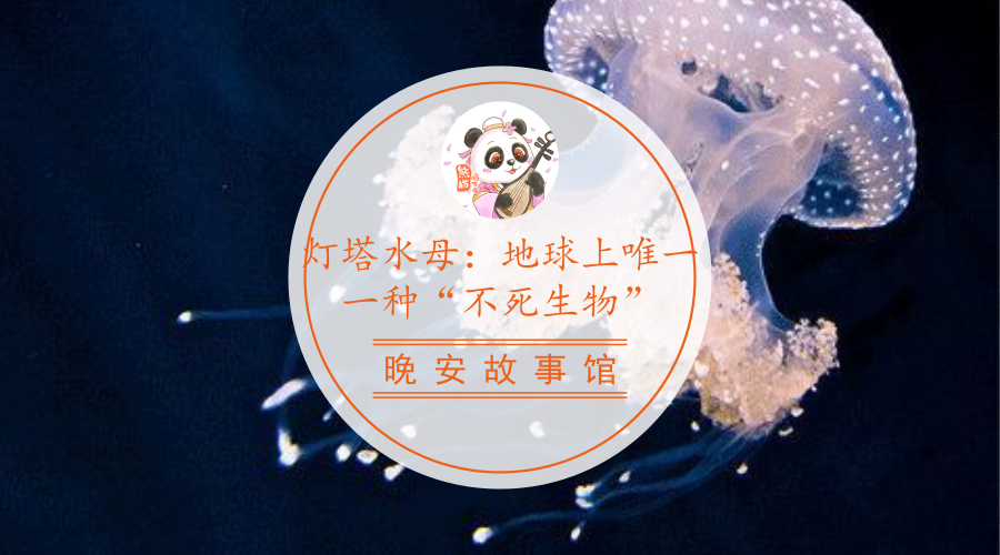 v2-31d3ef2dad63c9f6001440402fe7fc2b_1440w.jpg?source=172ae18b