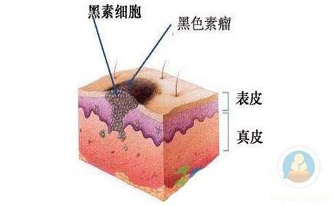 白发 知乎