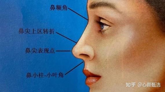 为什么你做的鼻子不立体?关于鼻尖的几个知识点,真的太重要了(建议收藏) - 知乎