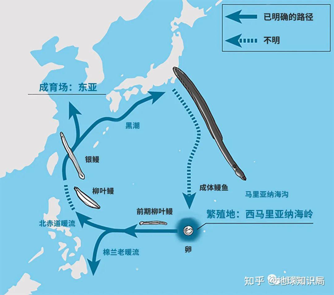 日本黑潮地球知识局