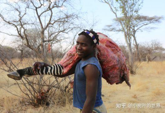 世界上的奇妙打獵部落靠狩獵為生還能和動物交流