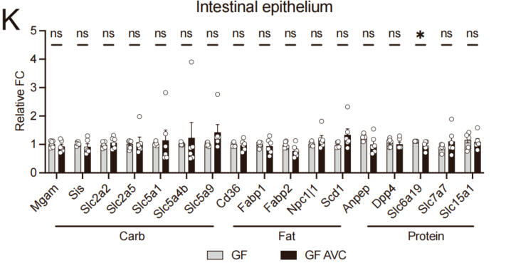 《Cell》子刊重磅：东部战区总医院李维勤团队揭示肠道病毒组在碳水化合物代谢中的关键作用 - 知乎