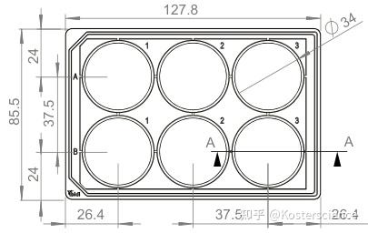 ibidi μ-Plate 黑色 6 孔培养板玩转指南 - 知乎