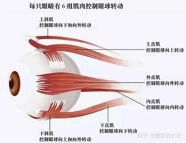 走神反应迟钝好动自闭症孩子注意力不佳的原因是