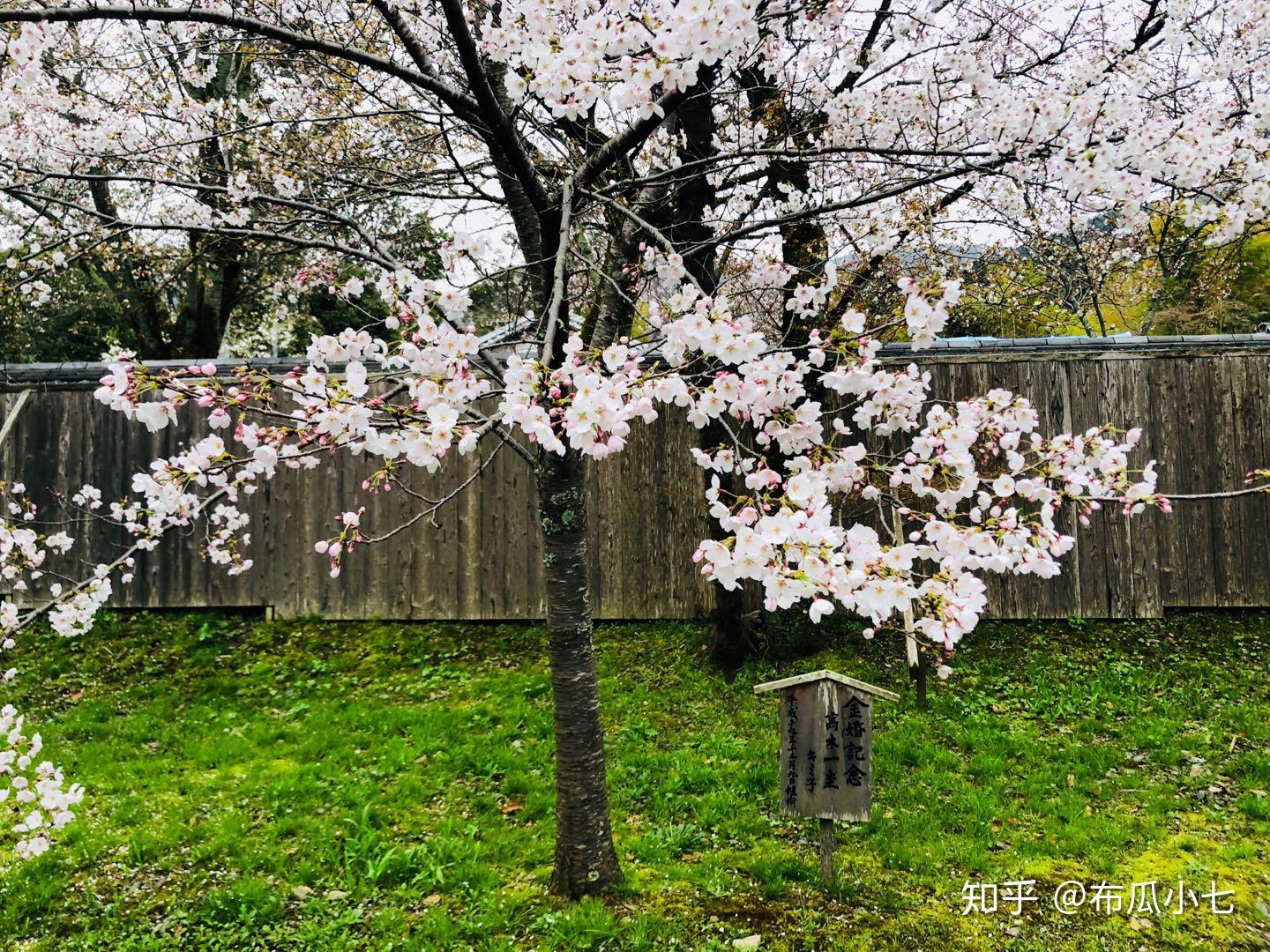 前言京都的醍醐寺是日本佛教真言宗醍醐派的總寺.