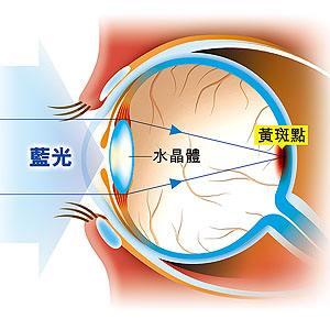 蓝光是多少k色温 v2-322a34e77482c89e185c30e19a67ed76_b.jpg