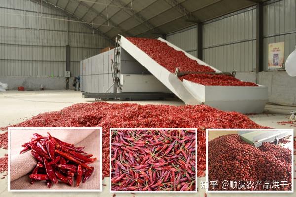 粉碎轮胎设备多少钱一台_塑料,壁纸,用什么设备粉碎_辣椒粉碎机械设备价格