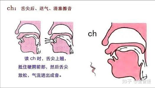 1)唇音 以下唇为主动器官,通过气息冲破嘴唇形成的阻碍发音