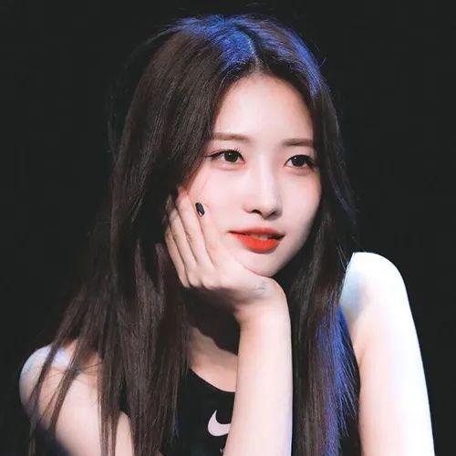 头像everglow金施贤合集