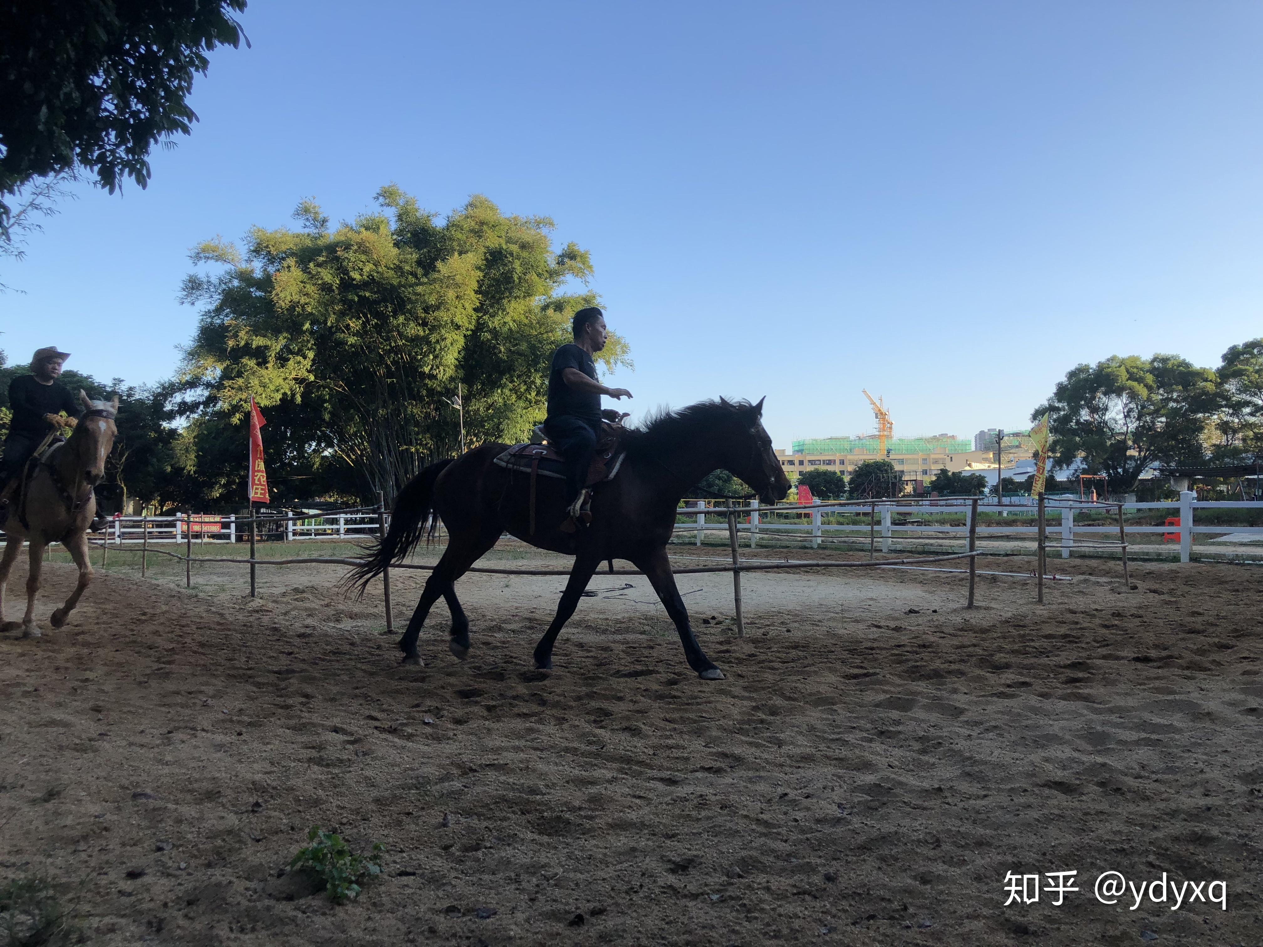 珠海哪里有马场,好不好玩? - 知乎