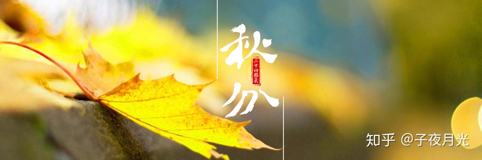 旧岁诗怀今未续,十年际遇易魂销.却听隔院吹笙曲,敢问沿江泛海潮.