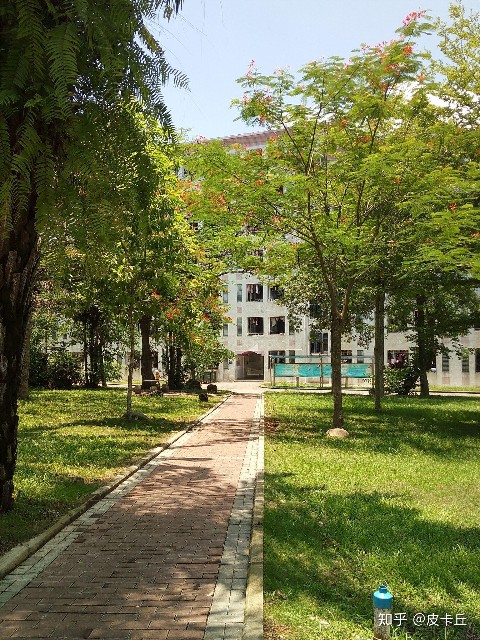 海南有哪些大学（2022海南省大学排行榜）_玉环网