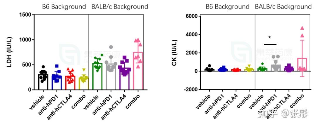 BALB/c Mice | BALB/c小鼠最全知识资料 - 知乎
