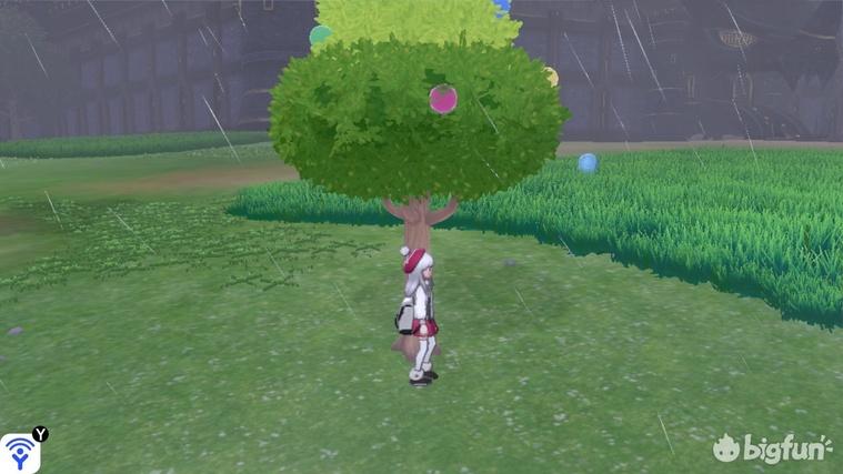 精灵宝可梦剑盾树果详细介绍