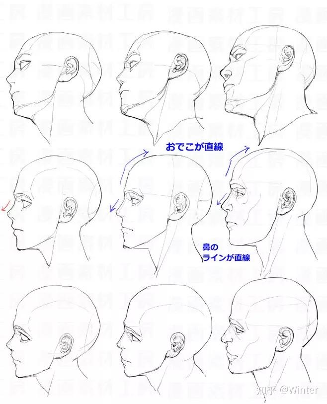 繪畫練習素材丨上千個不同角度頭部臉型眼睛結構比例表情等練習參考