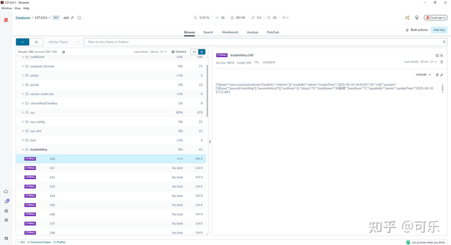 RedisInsight：带 @class / @type 的 JSON