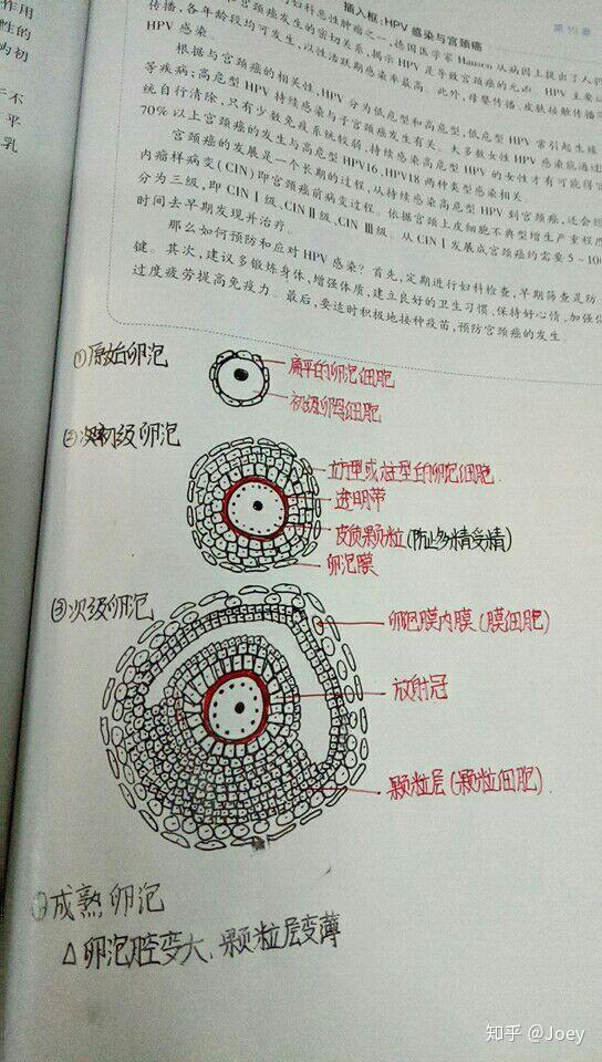 什么时候检查白带最合适 v2-32988bd00d937abc8bc77eddd8b9609a_r.jpg