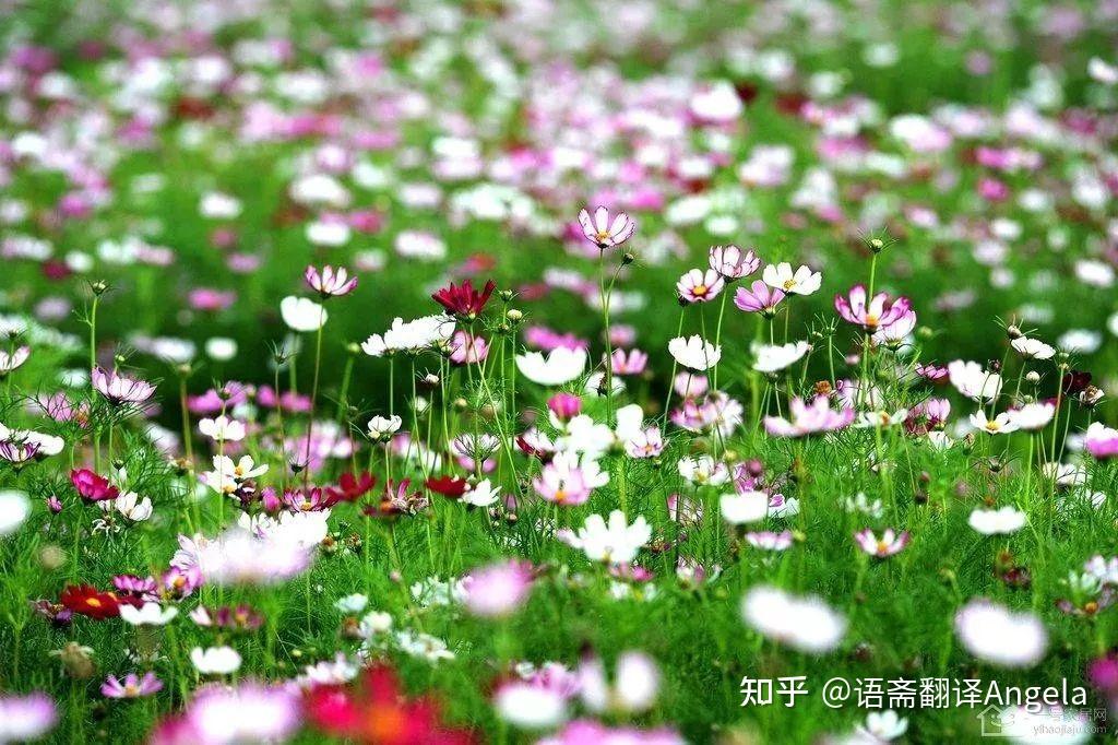 Canon佳能 EF 2035mmF28L 性能评测 蜂鸟摄影论坛