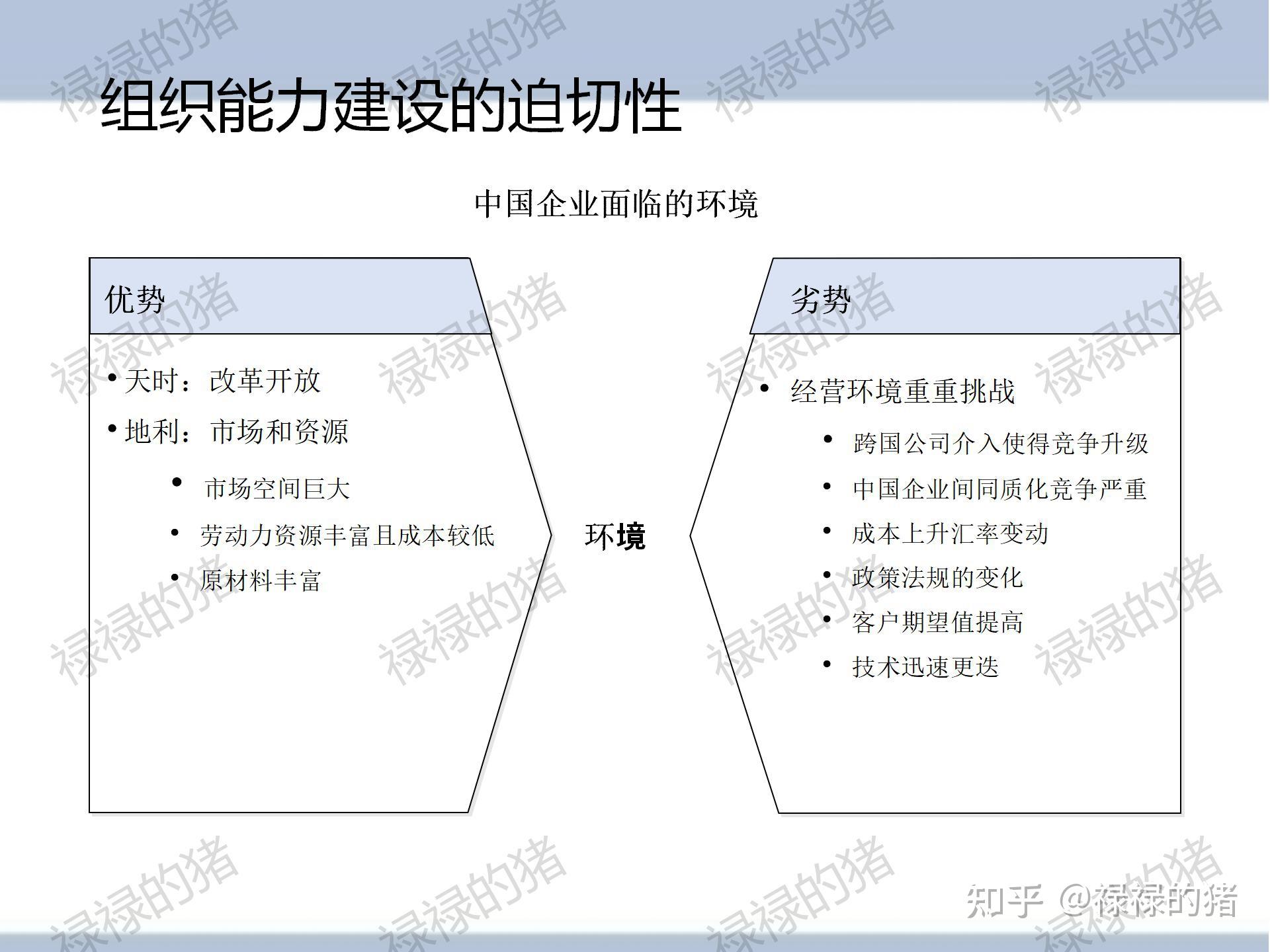 组织工具-杨三角全文解析 - 知乎